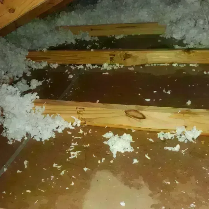 Attic Water Damage in Corning, NY